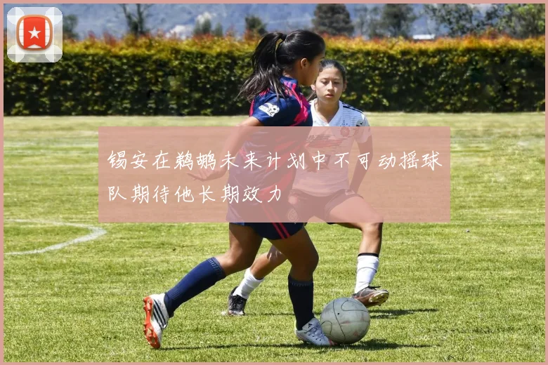 锡安在鹈鹕未来计划中不可动摇球队期待他长期效力