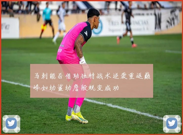 马刺能否借助独特战术逆袭重返巅峰如幼鲨幼詹般蜕变成功
